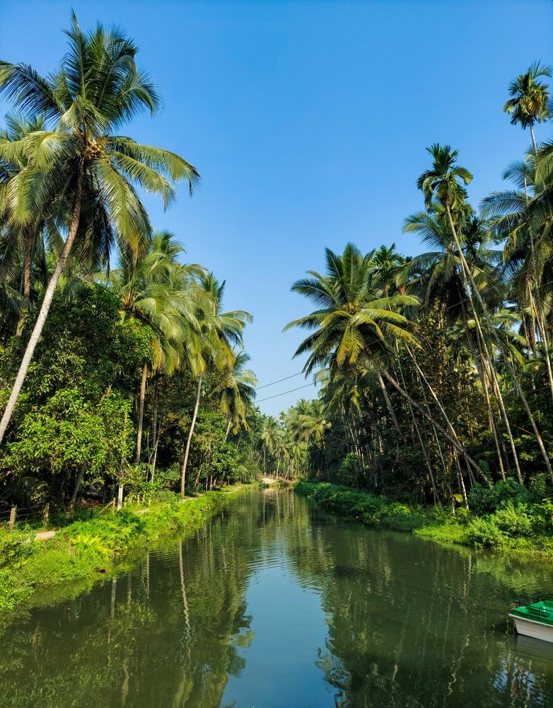 Photograph by Mathew Nishanth A