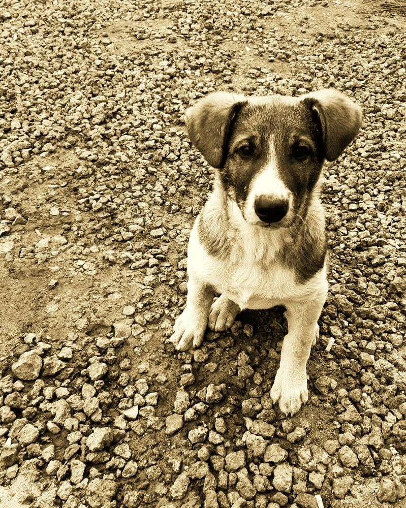 Фотография автора Марина Маллаева