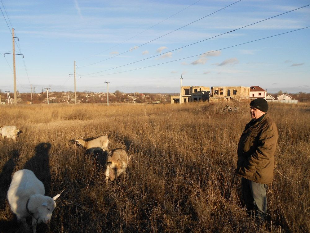 Photograph by Елена