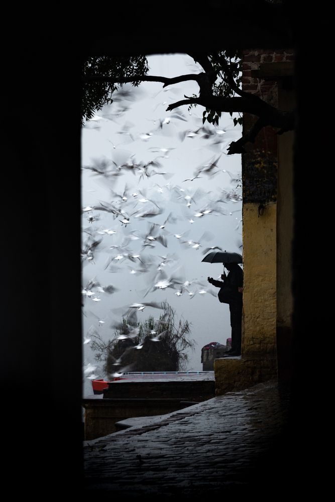 Photograph by Chetan Verma