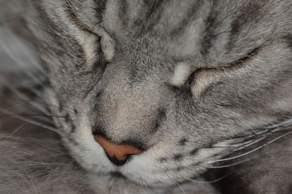 Photograph by Елена