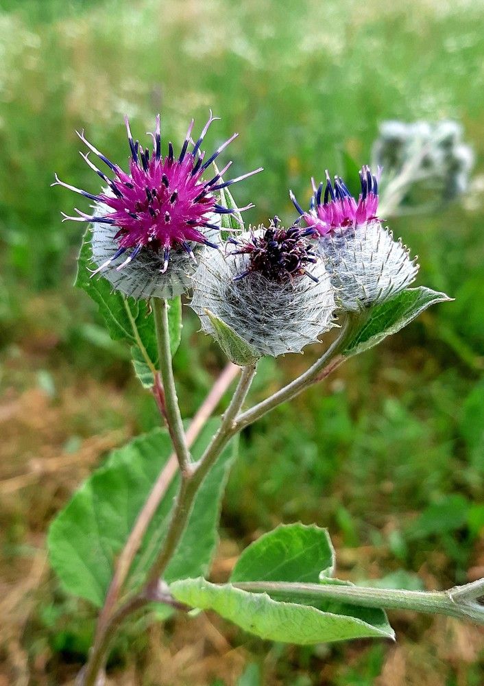 Фотография автора Ирина Лукьянчик
