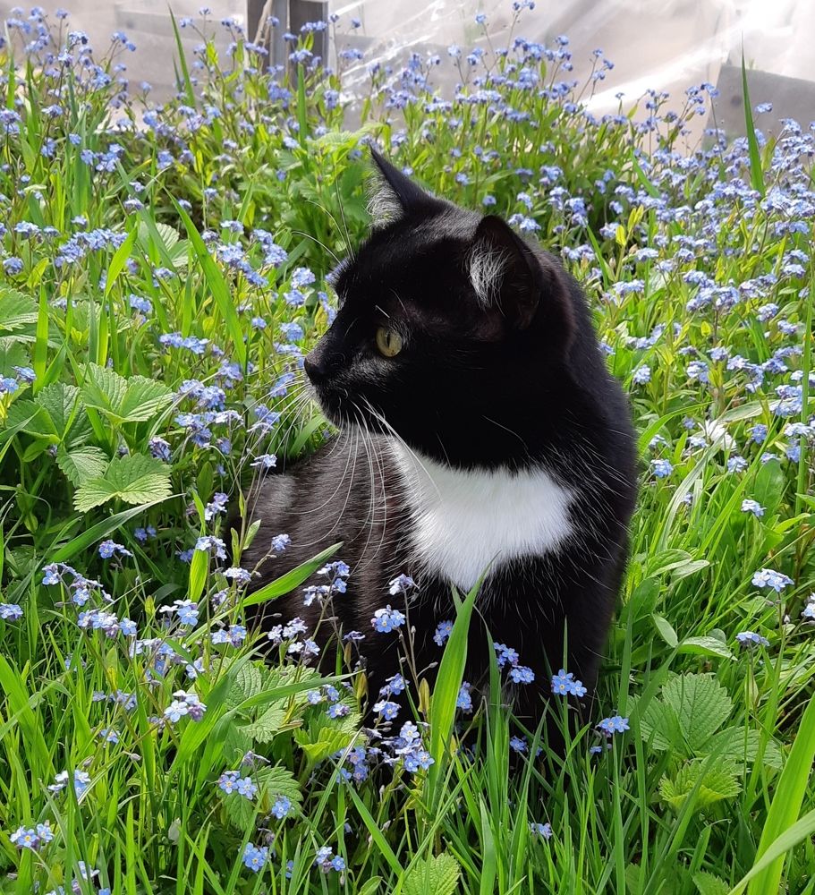 Фотография автора Ирина Лукьянчик