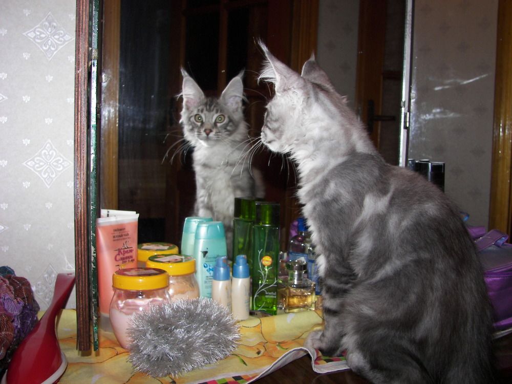 Photograph by Елена