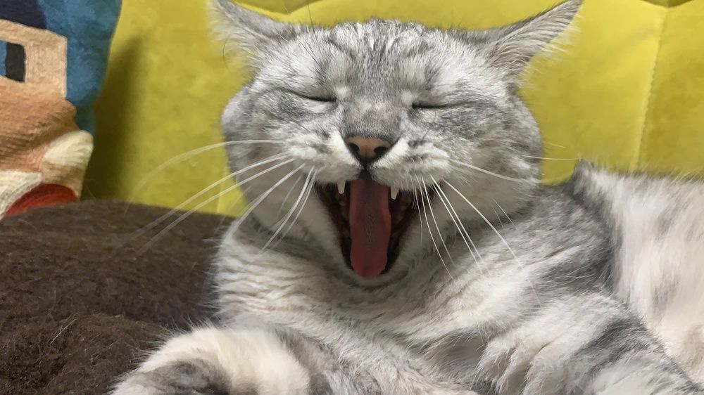 Photograph by Николай Тышкунов