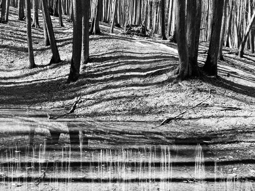 полосатый пейзаж