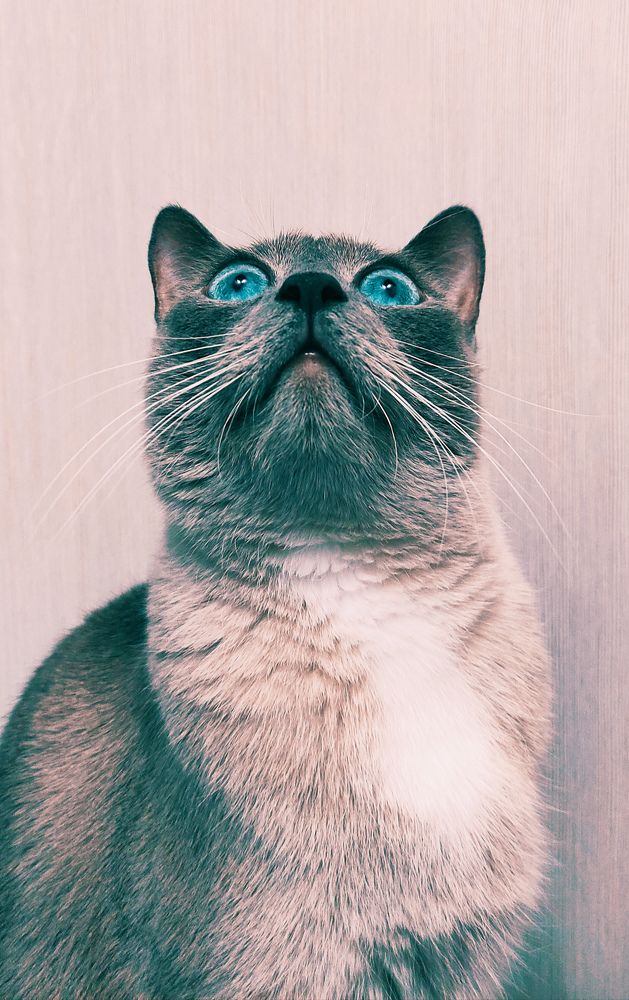 Photograph by Светлана Холодова