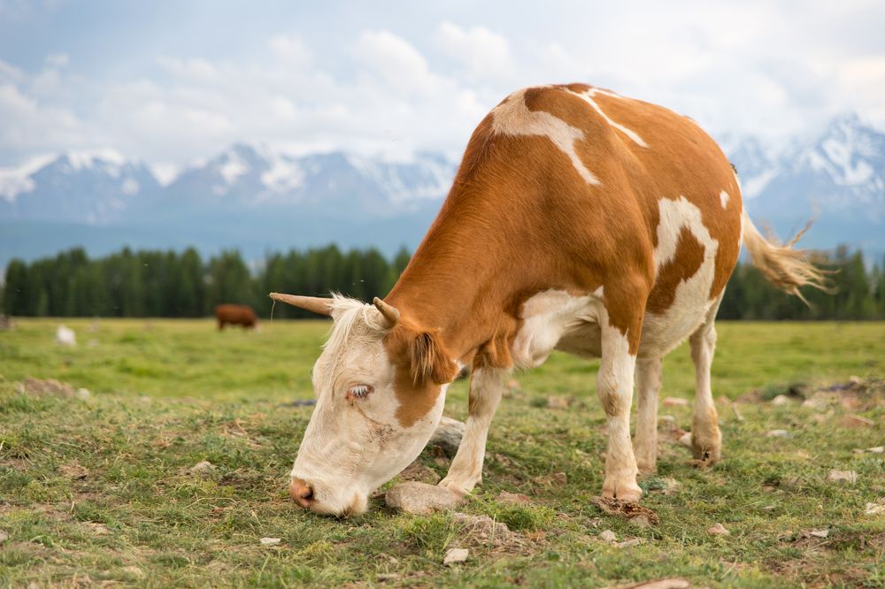 Photograph by Ольга Некрасова