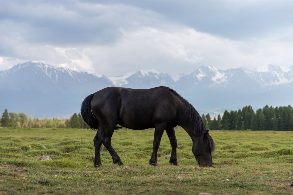 Photograph by Ольга Некрасова