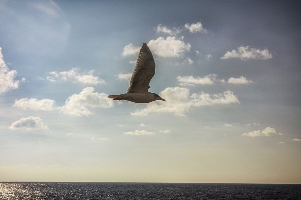 Photograph by Николай Тышкунов