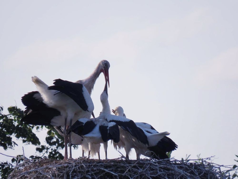 Фотография автора Ирина Лукьянчик