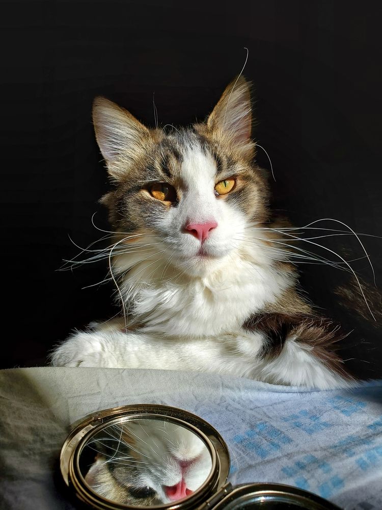 Photograph by Евгения Алексеева