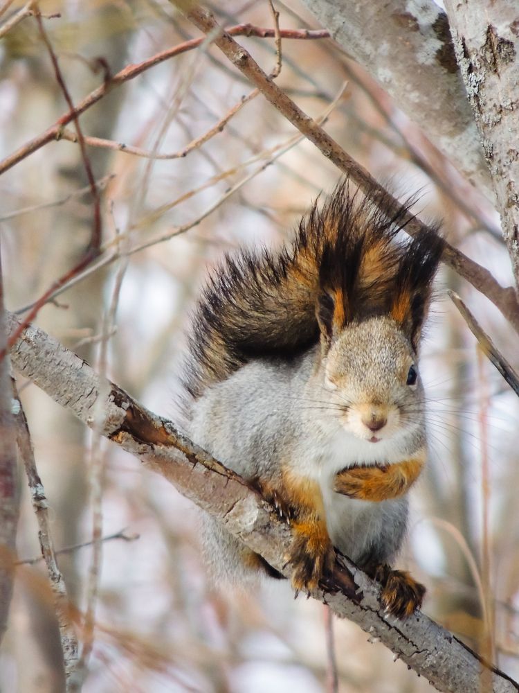 Photograph by Олег Дерябин