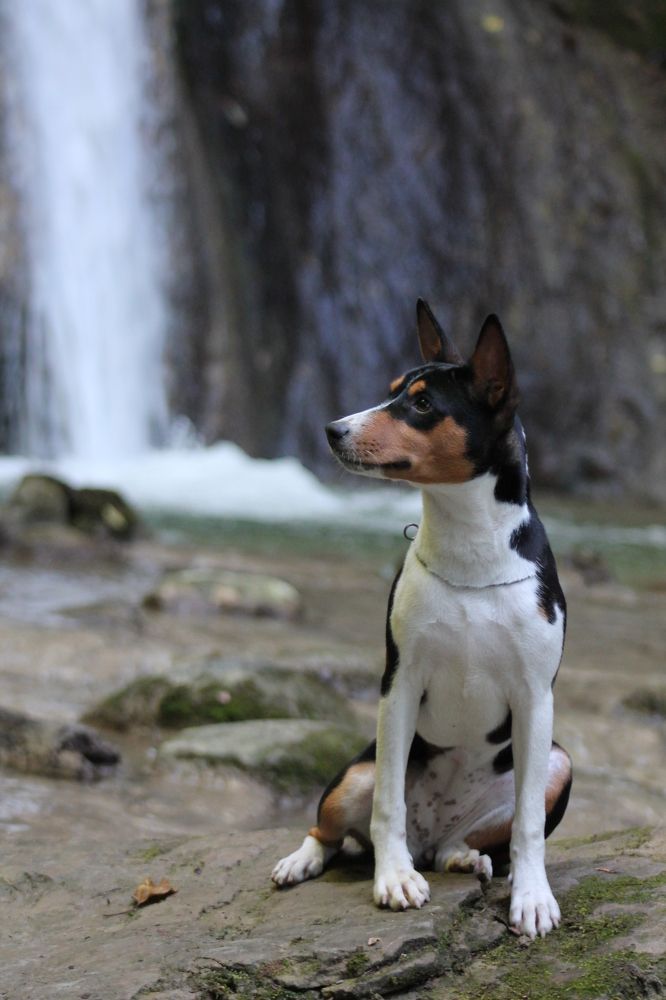 Photograph by Диана Ульянцева