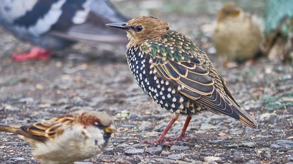 Photograph by Руслан Ибрагимов