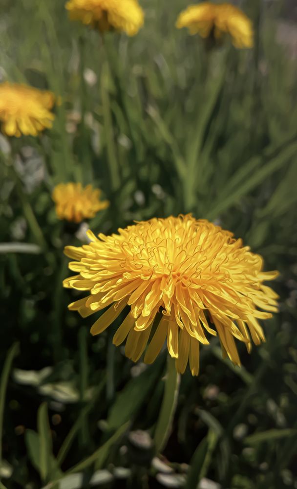 Photograph by Елена Власова