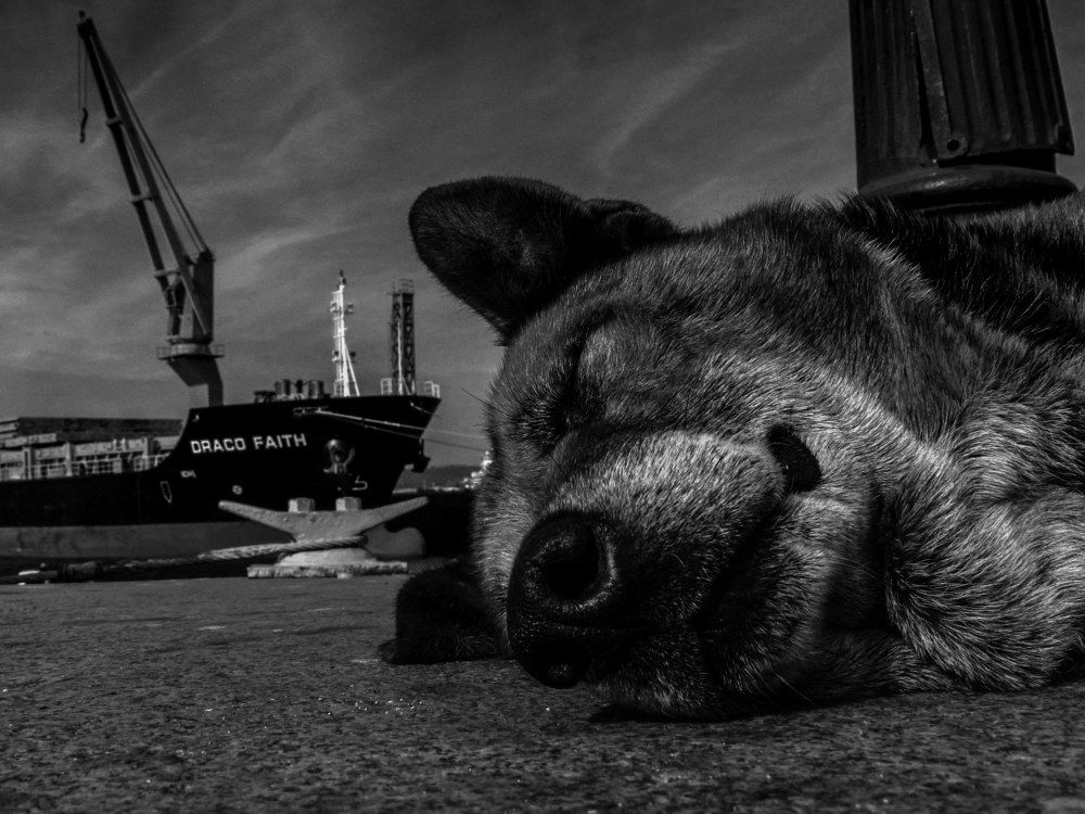 Photograph by Geraldine Michell