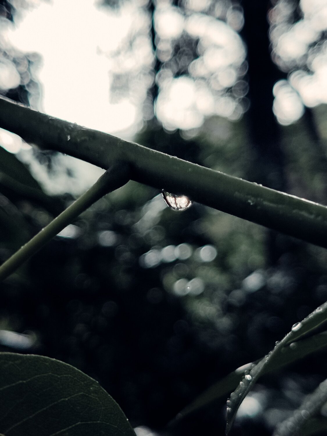 Photo #7515015