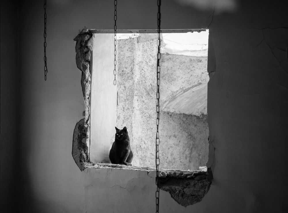 Photograph by safoura asghari