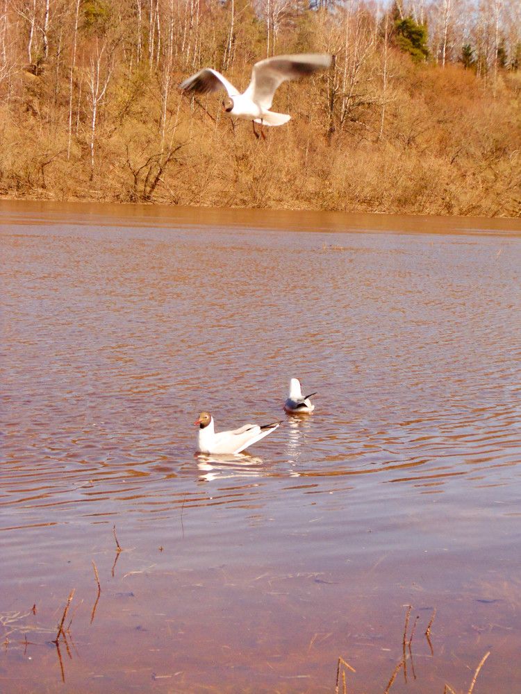 Photograph by Екатерина Сочнева