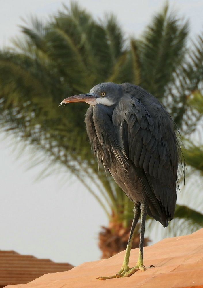 Фотография автора Юлия Овчинникова