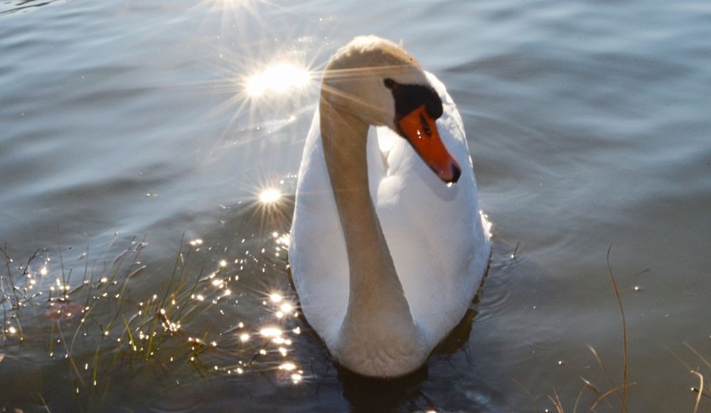 Photograph by Suzana Cakciri