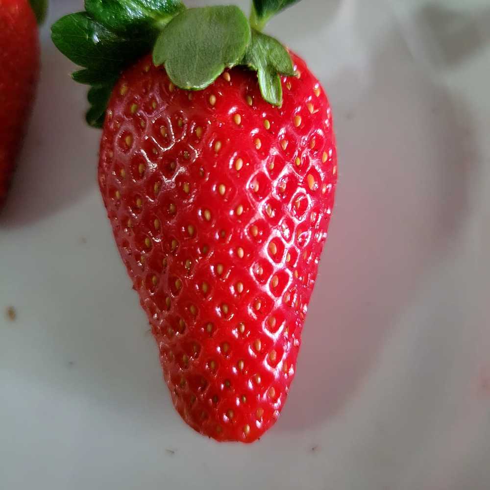 Photograph by Suzana Cakciri