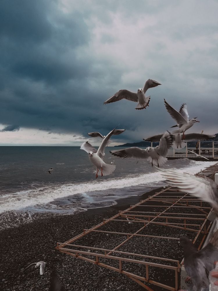 Sea