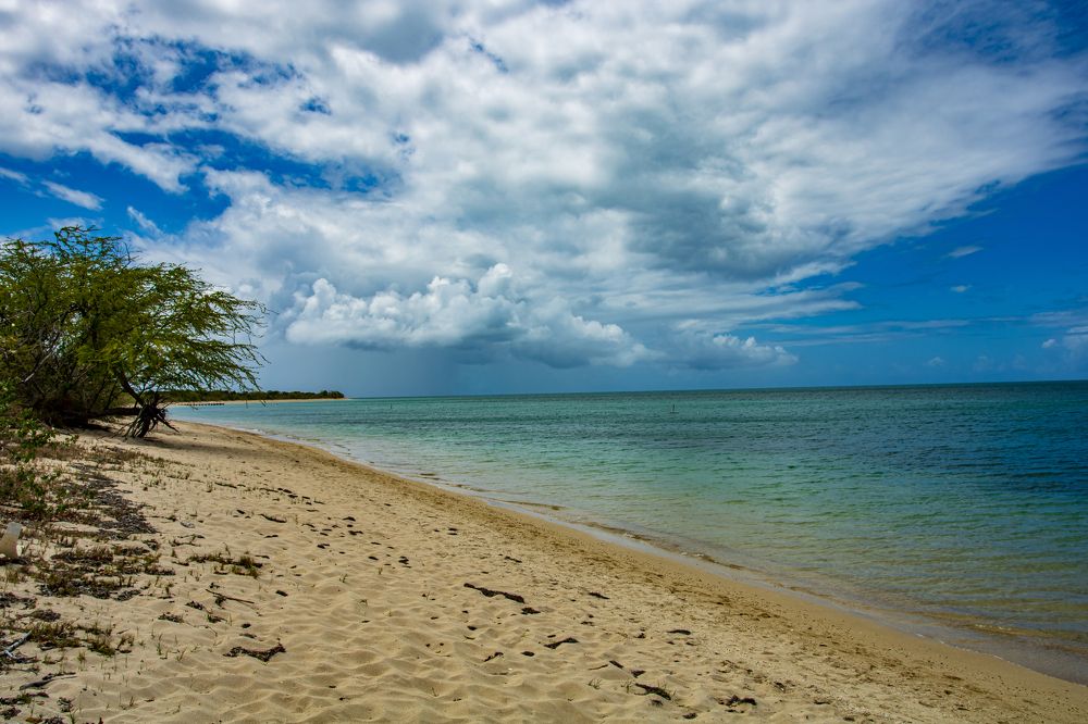 Photograph by Alexander Morales