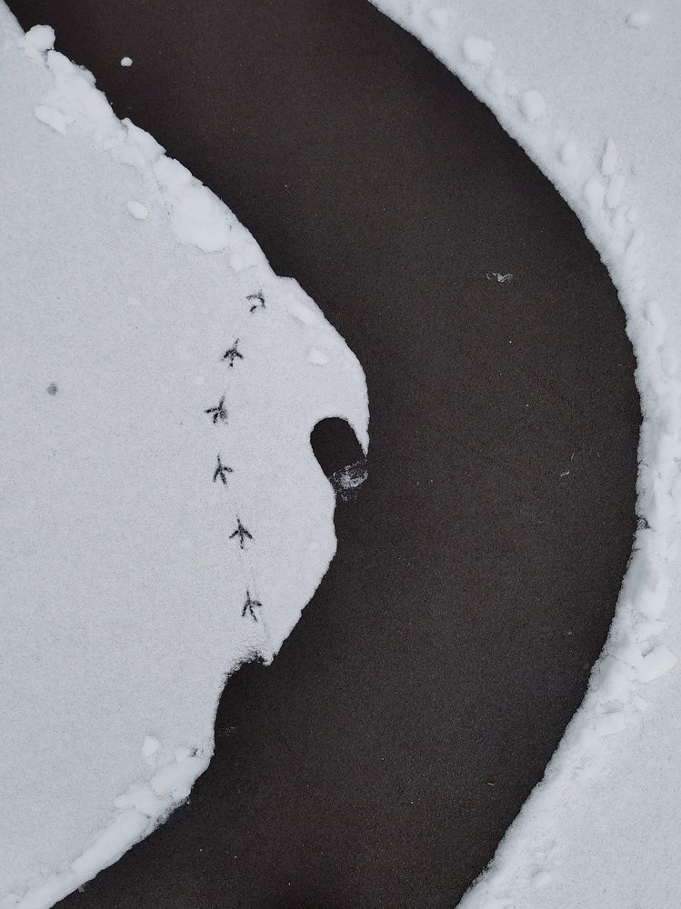 Photograph by Татьяна Аршинова