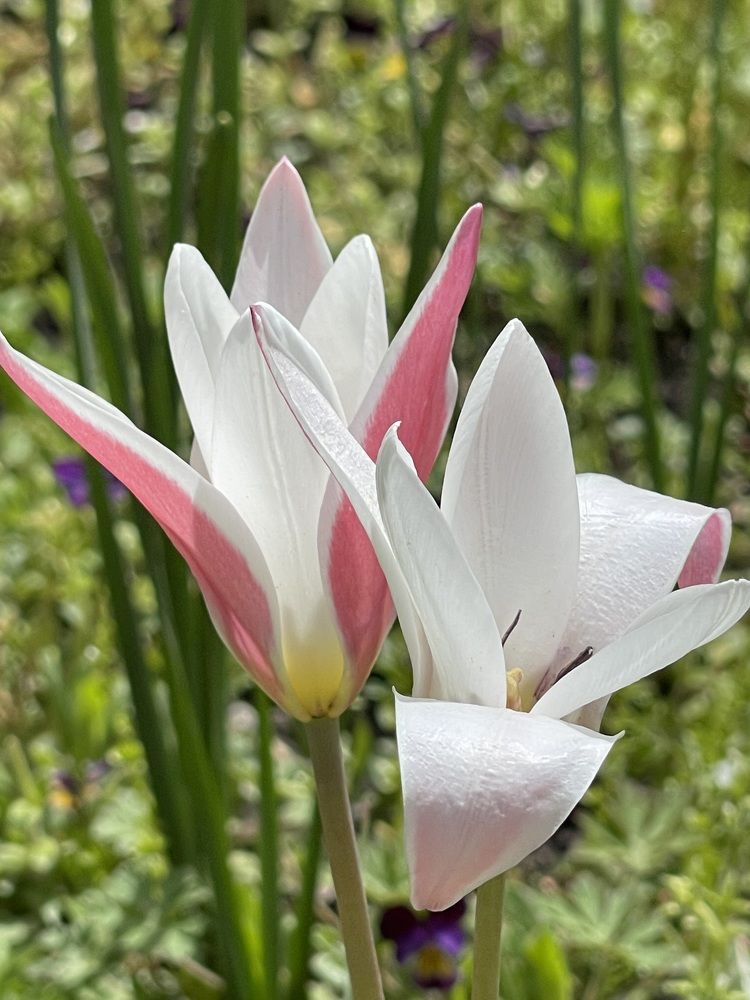 Photograph by Lyndsye