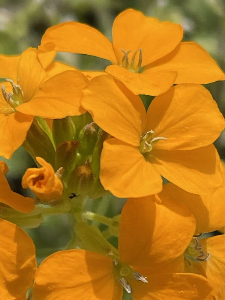 Photograph by Lyndsye