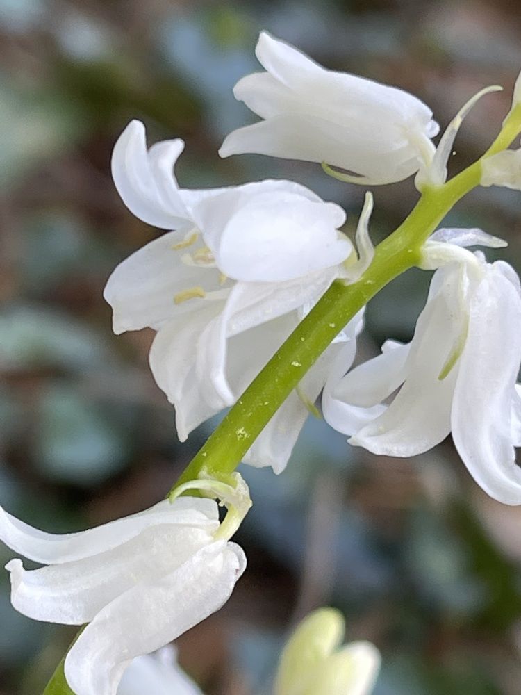 Photograph by Lyndsye