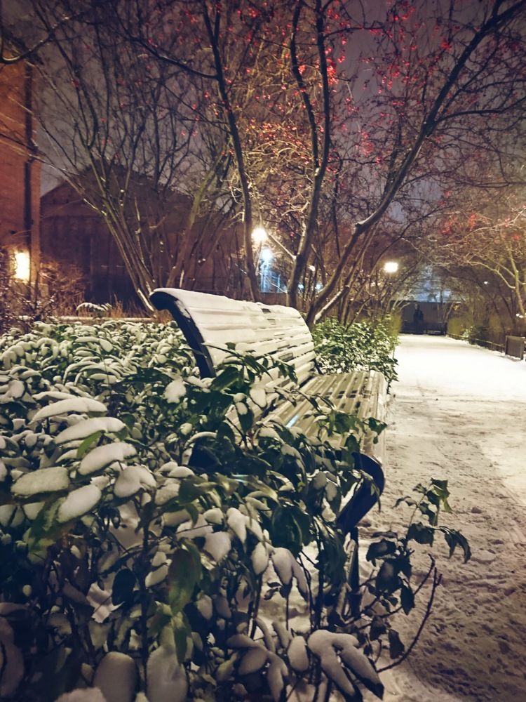 Фотография автора Людмила Яковлева