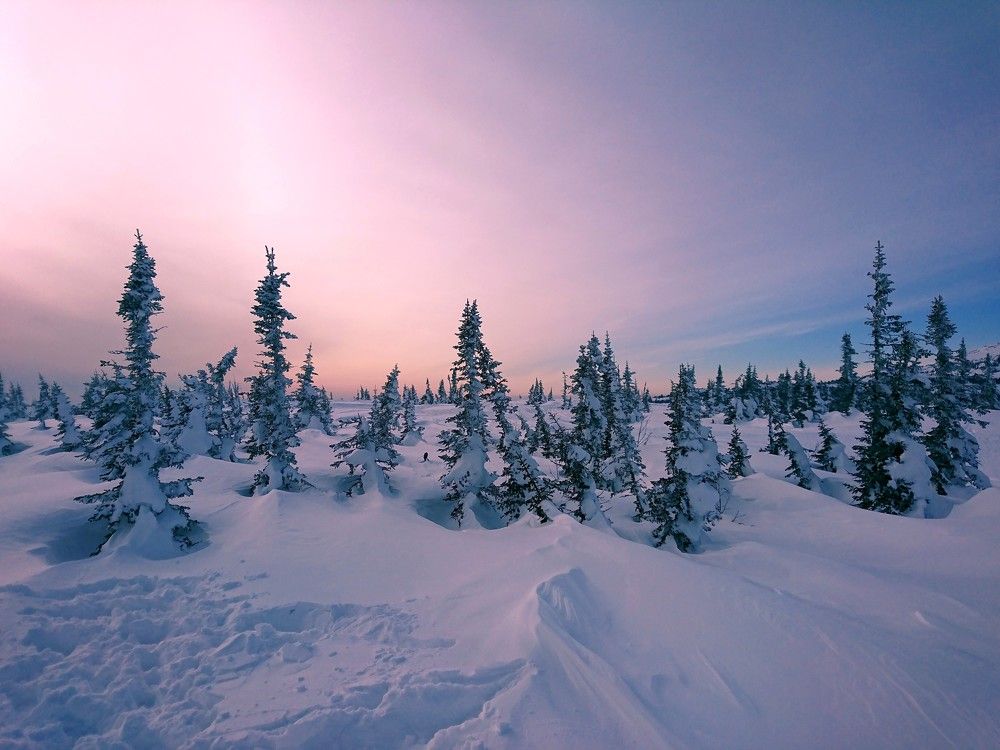 Фотография автора Людмила Яковлева