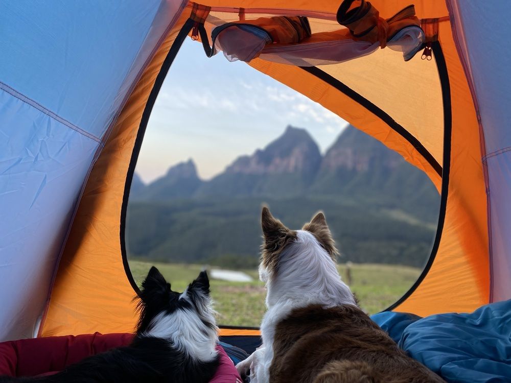 Photograph by Leonidas Ribeiro