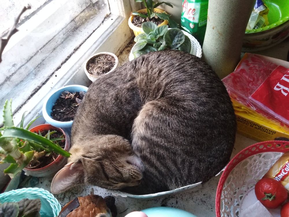 Photograph by Елена Малкова