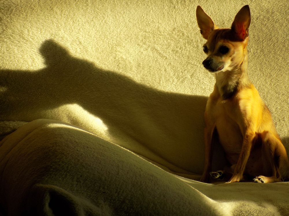 Photograph by Сергей Рудаков