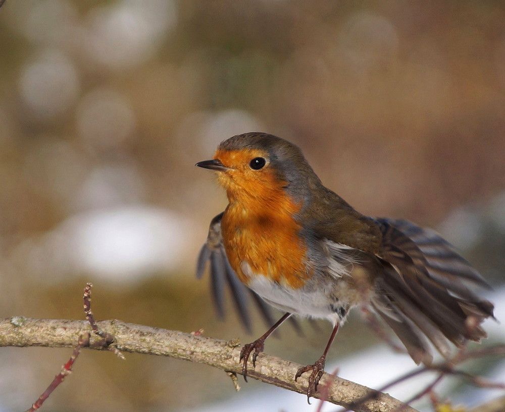 Photograph by Наталья Степаненко