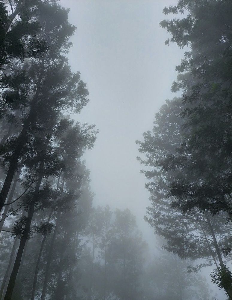 Photograph by Mathew Nishanth A