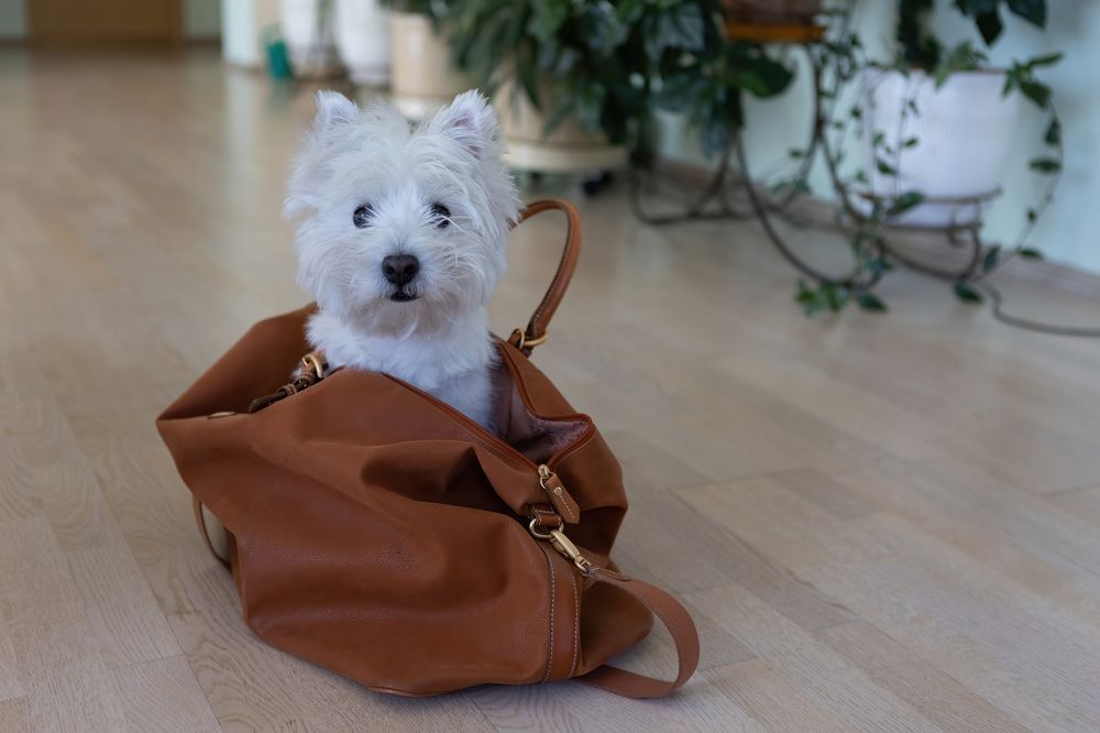 Photograph by Ксения Ершова