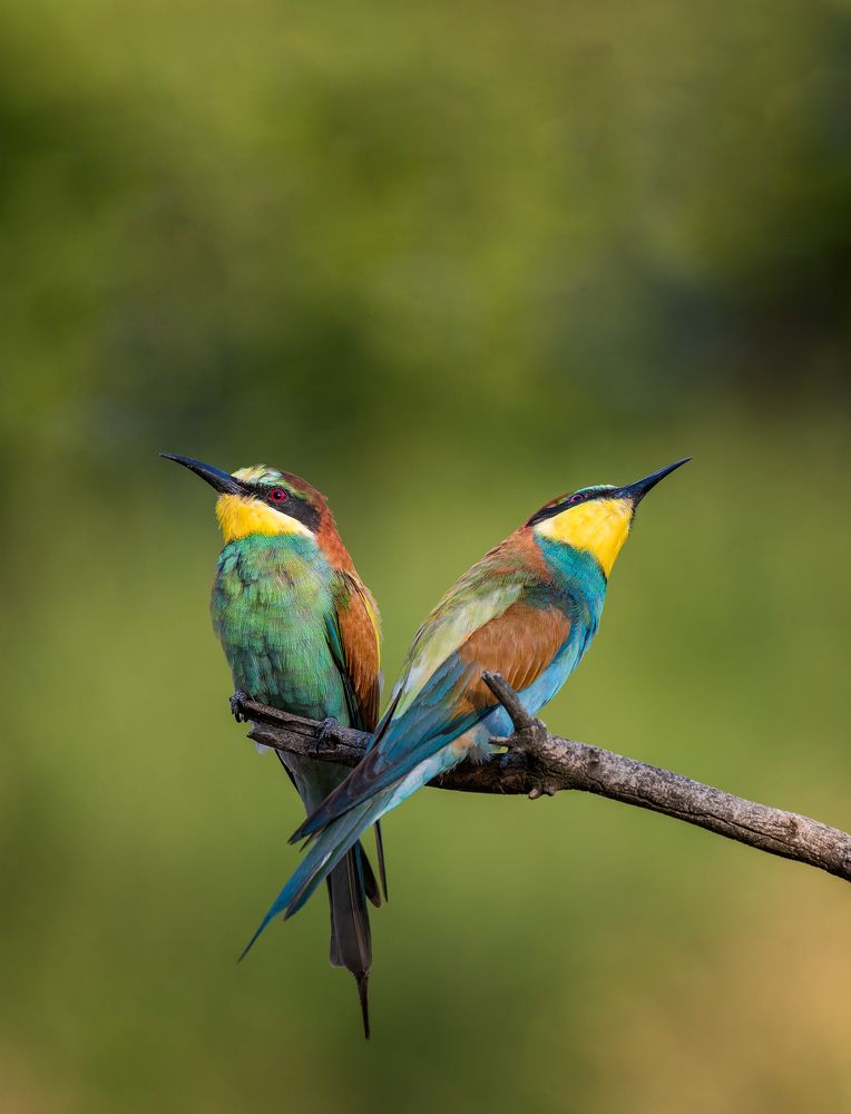 Фотография автора Андрей Жила