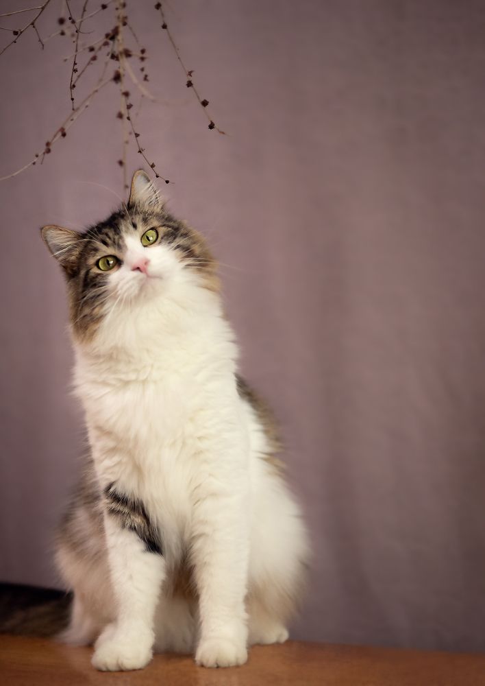 Photograph by Анастасия Пипко