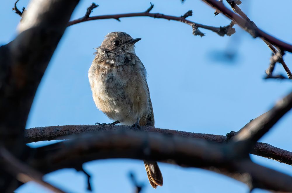 Photograph by Александр Перегудов