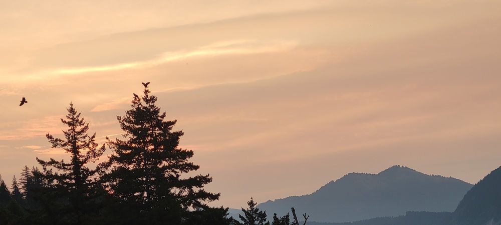 Photograph by Eichner Emily