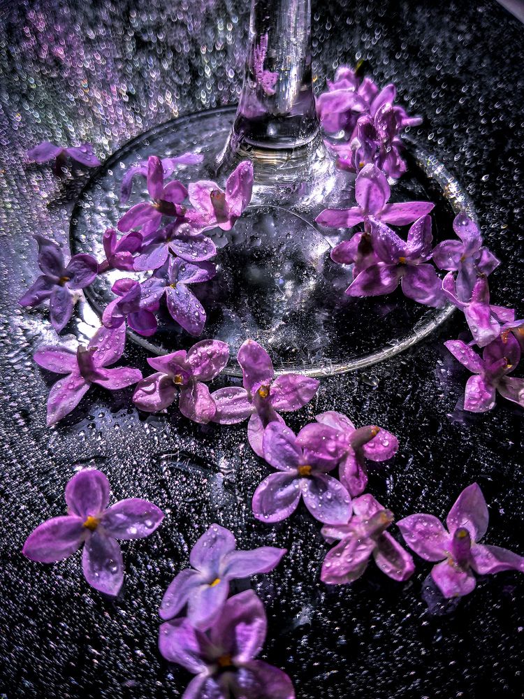 Photograph by Наташа Черепенина