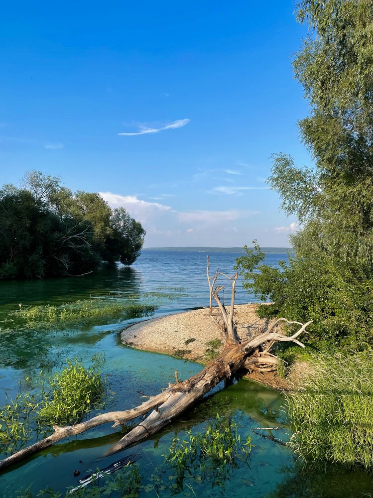 Photograph by Татьяна Шалкова