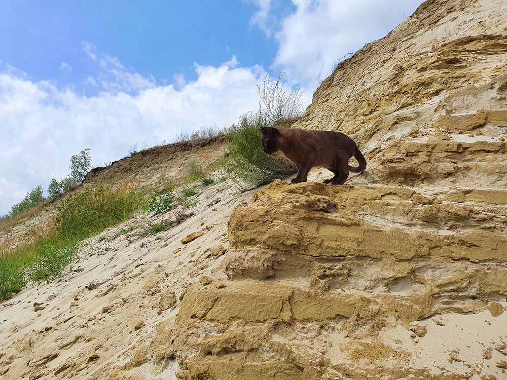 Фотография автора Надежда Лисицына