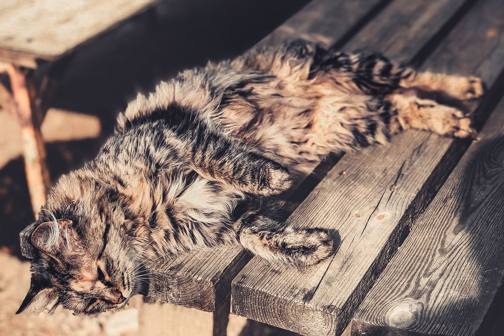 Photograph by Никита Борзов