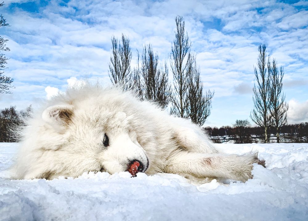 Photograph by Никита Борзов